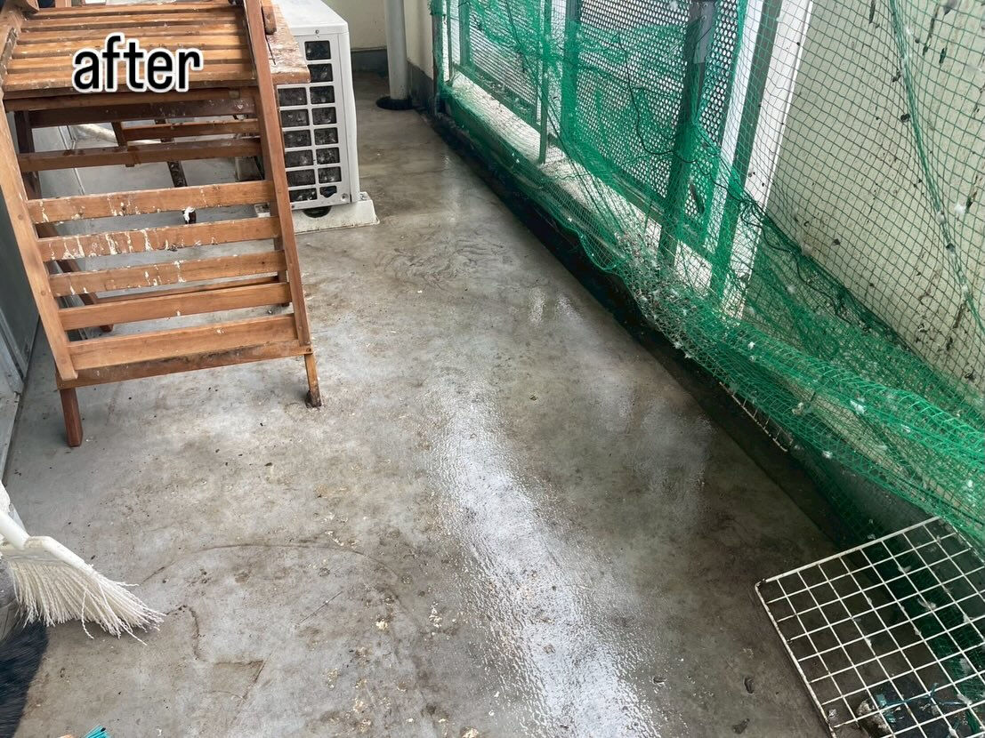 今日はさいたま市でハト防除施工を行ってきました！実は、ハトの