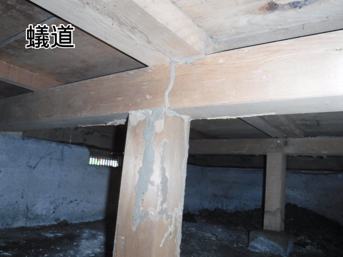 本日、さいたま市にてシロアリ駆除の調査にお伺いしました