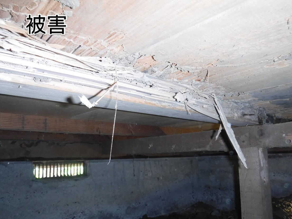 本日、さいたま市にてシロアリ駆除の調査にお伺いしました