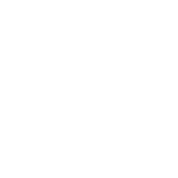 ネズミアイコン