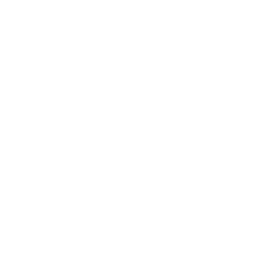 ダニアイコン